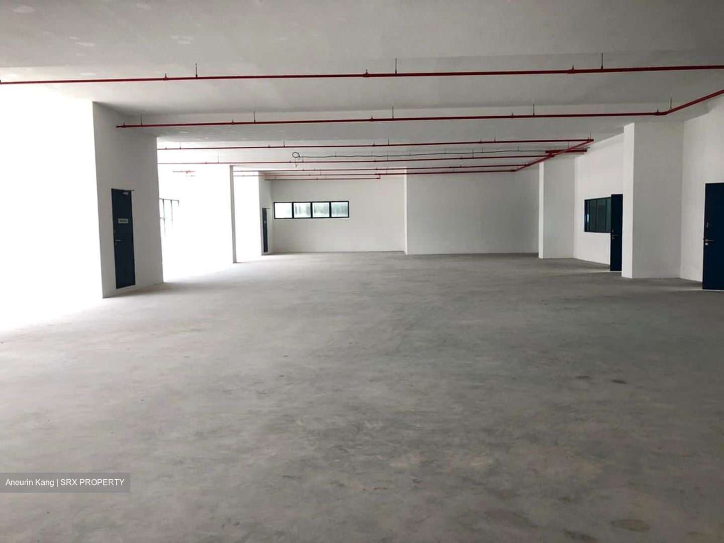 Loyang Industrial Estate (D17), Factory #288476781